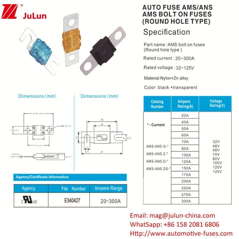 30-200A vierkante auto zekering voor de bescherming van het elektrische energie-systeem Draagbare EV-oplader Auto-audio-apparatuur