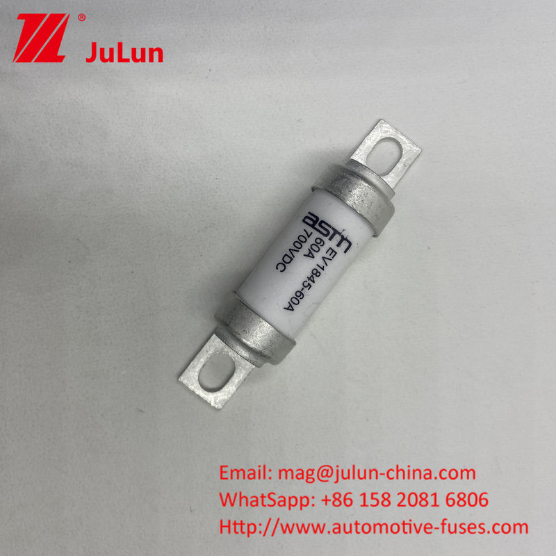 ASTM EV1845 150A Uitgang Elektro-voertuigen fusie 10kA Breekcapaciteit Schroef M8 M6 Montage