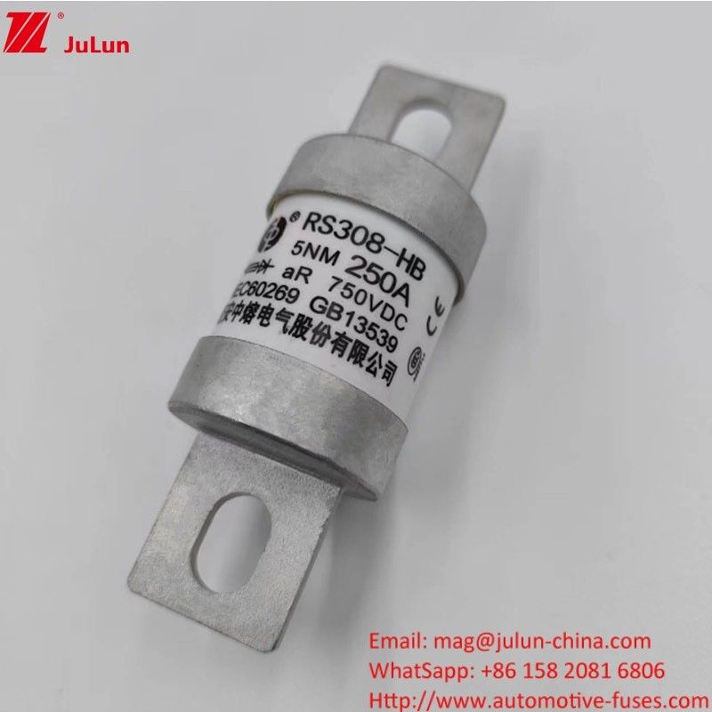 200A 250A 300A -400A Elektrische voertuig veiligheidsschroef M8 M6 Montage methode Terminal Type 750VDC Energie veiligheidsschroef