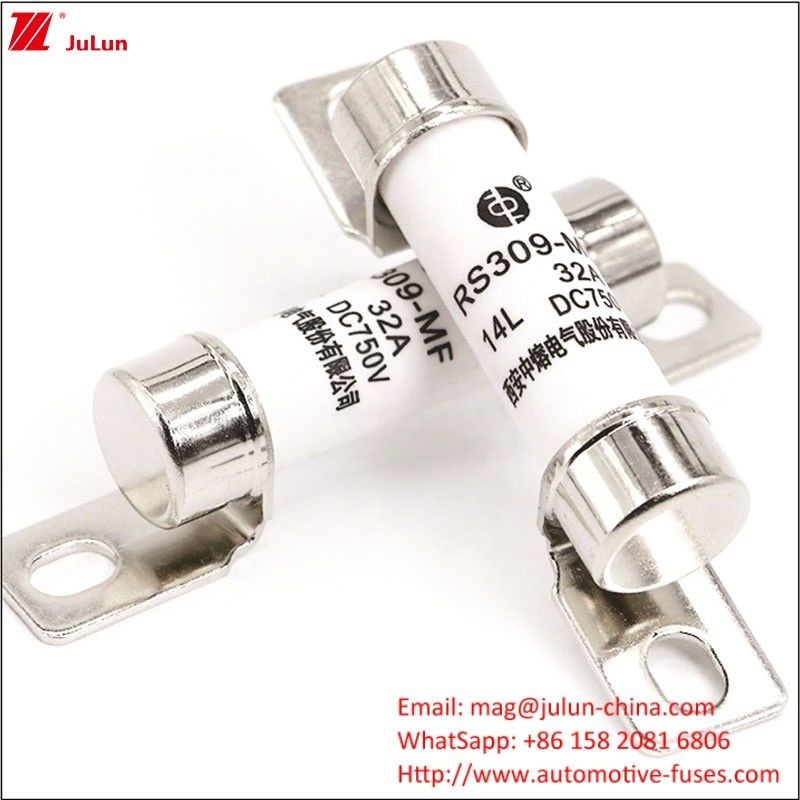 RS309 750VDC 32A 40A Stroom Autobatterilader met en energie Elektrovoertuig Fuse 750VDC Terminal Type