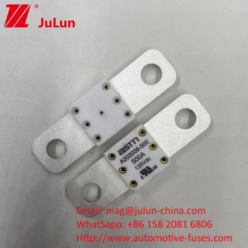 Professionele A202008 300A 125VDC zware autobatterijoplader Fuse 100A 150A 200A 250A 300A 350A 400A 500A 20KA Breekcapaciteit