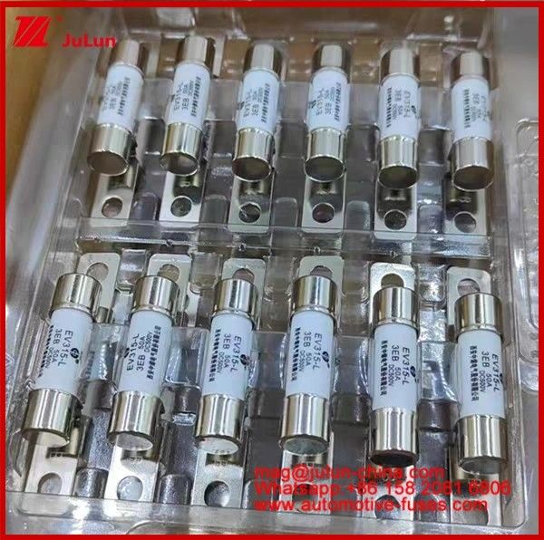 EV315-L 3EB 30A Fuse 10A 15A 20A 25A 30A 40A 50A DC500V Keramische V Home Ev Charger voor elektrische auto
