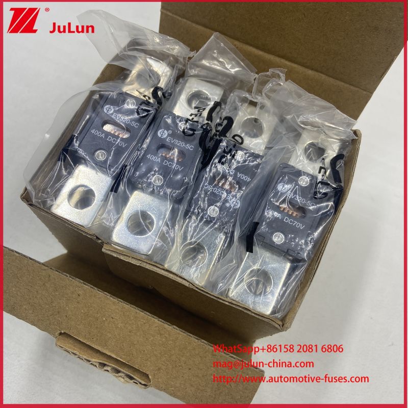 EV320-5X 5C N DC70V 250A 400A handig betaalbaar Autobattery Charger Fuse Voor Afrika Etc Verkoopgebied