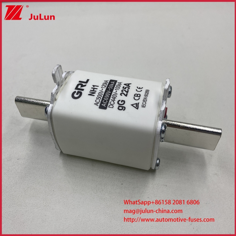 NH000 NT000 300A 225A 500V 120kA Hoogvermogen Zekering Zekeringelement met GG-gL Mescontact