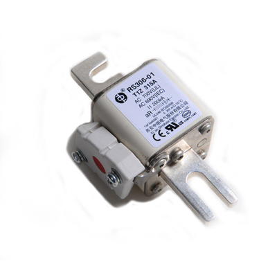 Van het de Elektrische voertuigenschip van de spoordoorgang de Elektriciteits Ceramische Autozekeringen RS306 690V