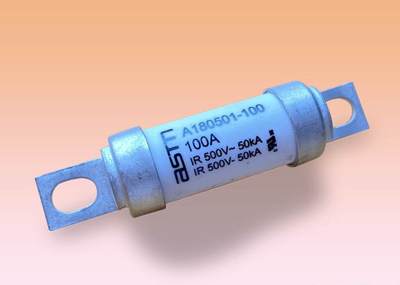 Van de de Autozekering 500v Ac van de Acteren snel 100 Ampère het Voltage Witte Kleur voor Elektronika