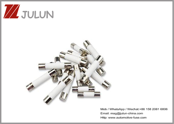 5X20Mm Communicatie 15A 250V Ceramische Zekering voor Magnetronnen