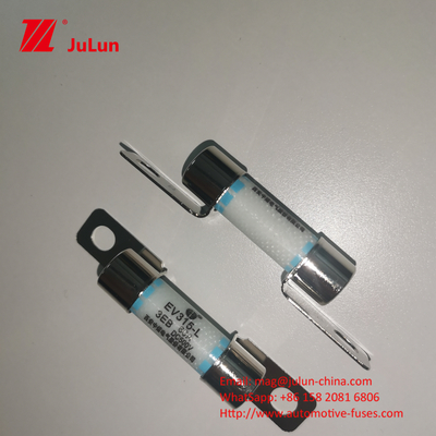 30A Elektrische voertuig veiligheidsvoorziening Draagbare EV-oplader 10*38MM 500VDC M6