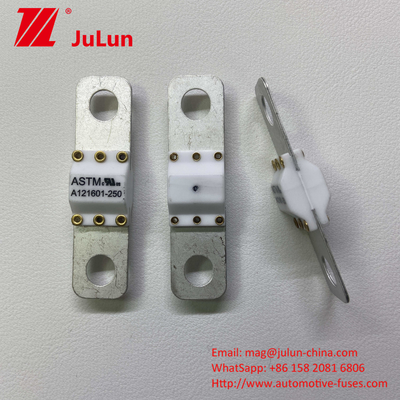 100A Draagbare EV-oplaadtools Brandbescherming High Break Short Circuit Protection Fuse