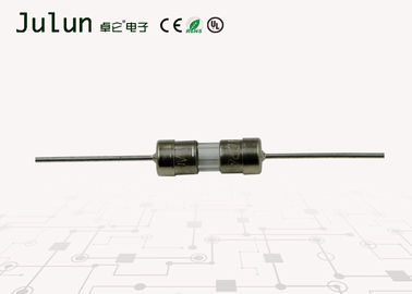 De Raadszekeringen 3.6x10mm van de ceramische/Glas Elektronische Kring 250VAC-Nominale spanning