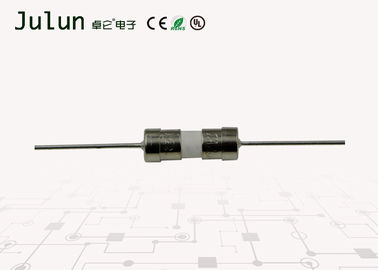 3.6x10mm van het Micro- Ceramisch de Zekerings snel Brekend Vermogen Zekeringen250v Aslood