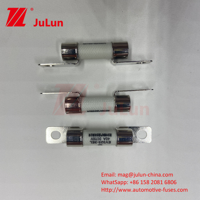 20KA 50KA Breekcapaciteit Keramische autospuitingen Ev-geclassificeerd Spuitingsbout Montage 10A 15A 40A 50A 750VDC