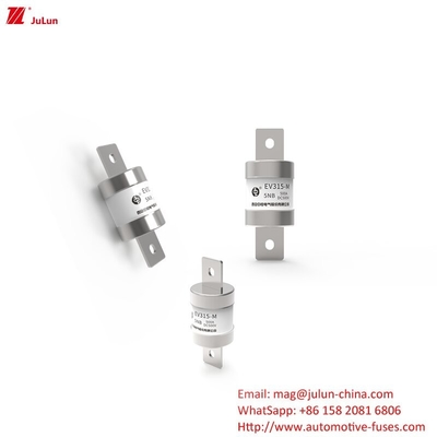 Medium Fast Fusing Electric Vehicle Fuse EV315-M-5NB DC500V 500A in een doos
