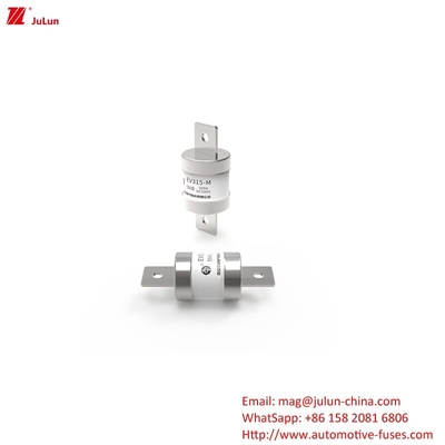EV-opladeradapter compatibel met elektrische auto 500V DC 500A