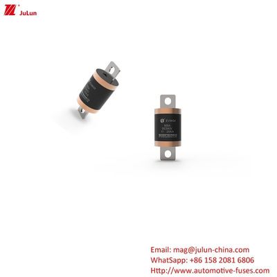 SINOFUSE Automotive Battery Charger Ultieme oplossing voor zekeringen