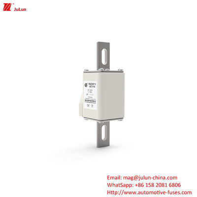160A-550A DC1000V Elektrische voertuigbeschermer RSZ307-1-Q5Z Terminal type Bolt-on-beschermers