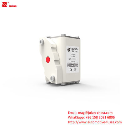 315A AC1000V Draagbare EV-laadmachine Autosluiters met een hoog breekvermogen