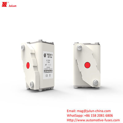 Bescherming van het elektriciteitssysteem 160A-550A AC EV-opladeradapter Compatibel Bolt On Fuses