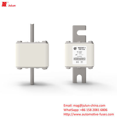 RSZ307-1-TMZ Elektrische stroom DC Car Charger Adapter met Bolt on Fuses Energieopslag industrie toepassingen