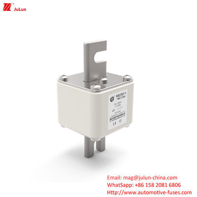 RSZ307 200A-450A DC250V elektrische voertuigbeschermer