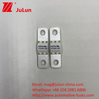 A121601-80A ASTM 125VDC 50A-100A Elektrische voertuigen Batterijen Energieopslagbeschermers
