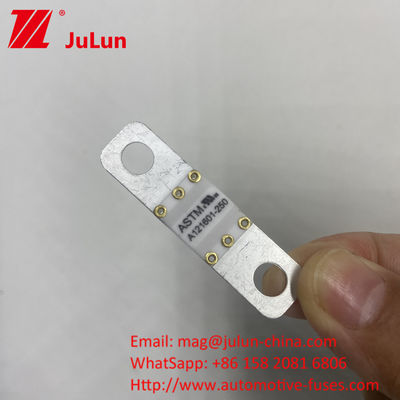 A121601-250A A121601-200A ASTM Koper Automotive Blade Fuse voor High Current EV energieopslagbatterij