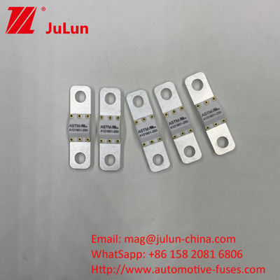 125 VDC Automotive Battery Charger Fuse A121601-300A Battery Energy Storage Motorfiets