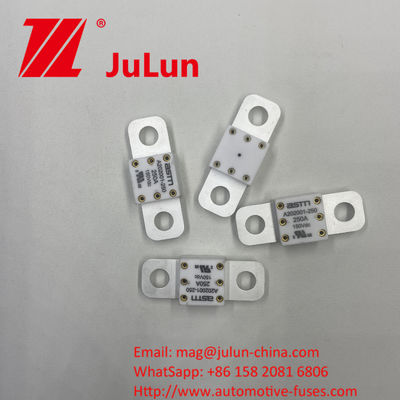 150VDC 200A A202001 Automobile Energy Storage Ceramic Automotive Fuses De perfecte combinatie van duurzaamheid en efficiëntie