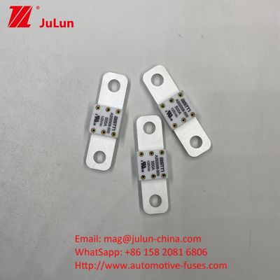 ASTM elektrische voertuigfusie A202008 300A fusie 125VDC terminal type AC Ev-opladeradapter compatibel met 20KA breekcapaciteit