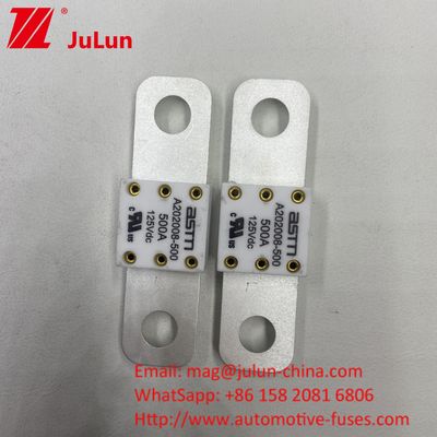 300A 125VDC Kleine grootte Hoogstroom EV Automotive Battery Fuse voor kortsluitbescherming