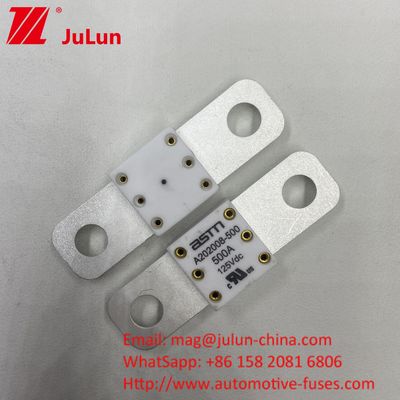 Professionele A202008 300A 125VDC zware autobatterijoplader Fuse 100A 150A 200A 250A 300A 350A 400A 500A 20KA Breekcapaciteit
