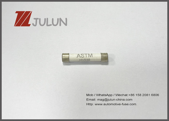 660V 6x30mm Zekeringen snel van de Acteren de Automobiel Ceramische Buis
